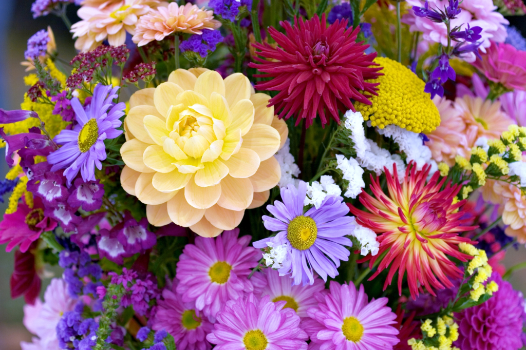 Quelles fleurs offrir à un homme et pour quelle occasion ? 