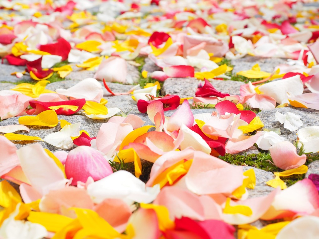 DIY : que faire avec des pétales de roses ?