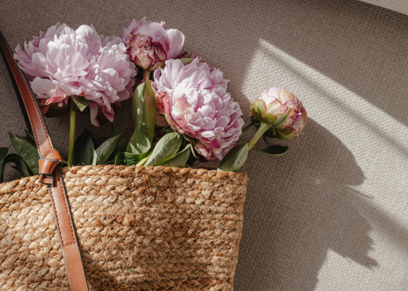 Les origines de la pivoine