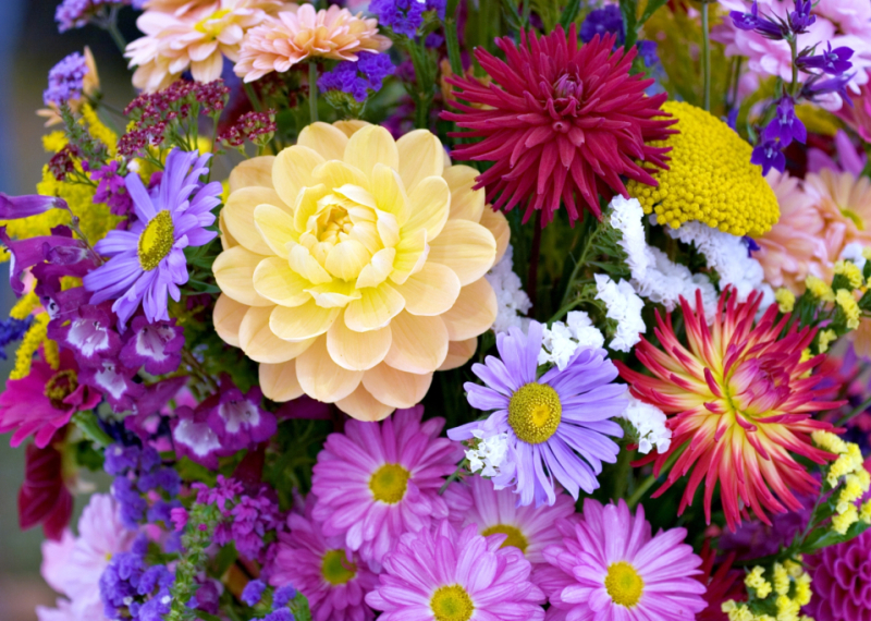 Quelles fleurs offrir à un homme et pour quelle occasion ? 