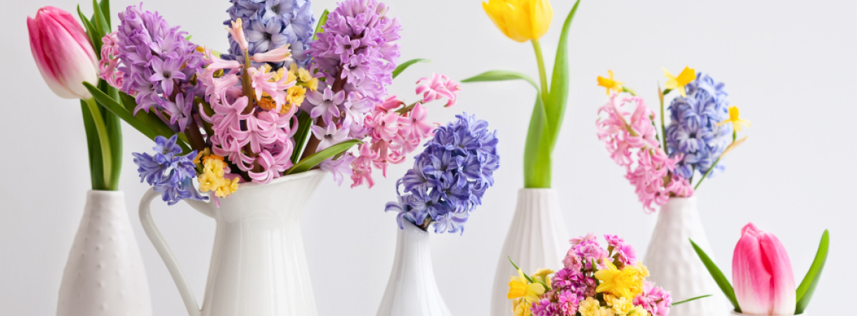 Quelles sont les fleurs de printemps ?