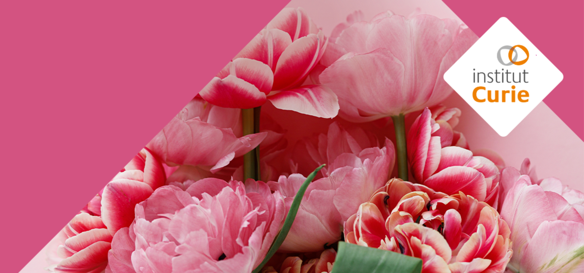 Carrement-Fleurs-Octobre-Rose